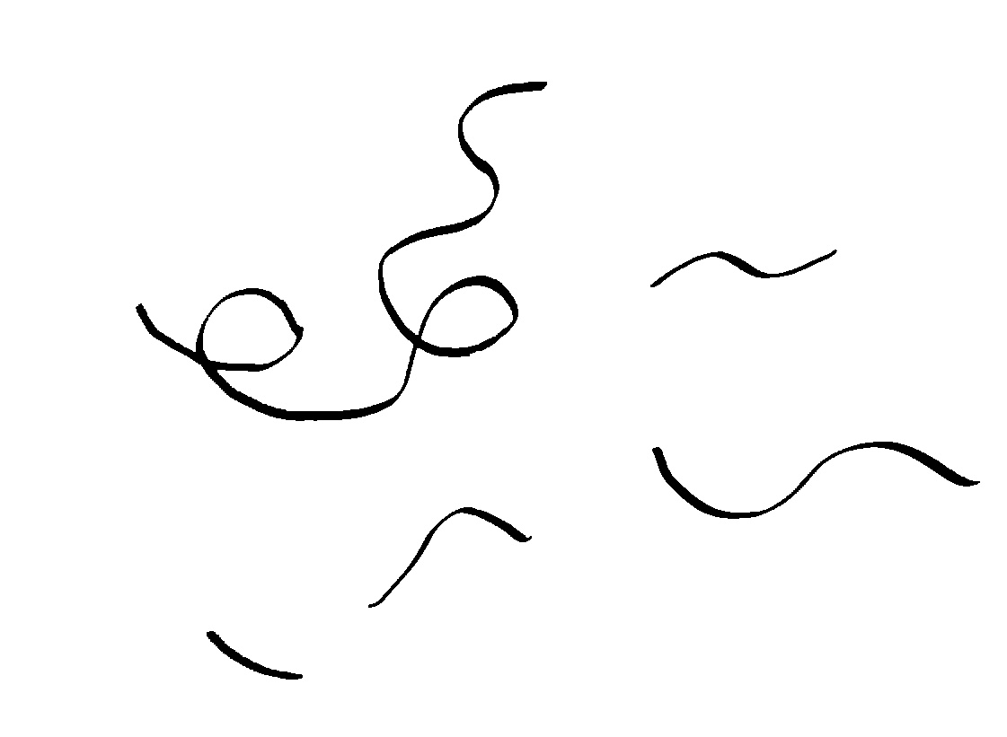Several arbitrary hand-drawn strokes, including loops and self-intersections