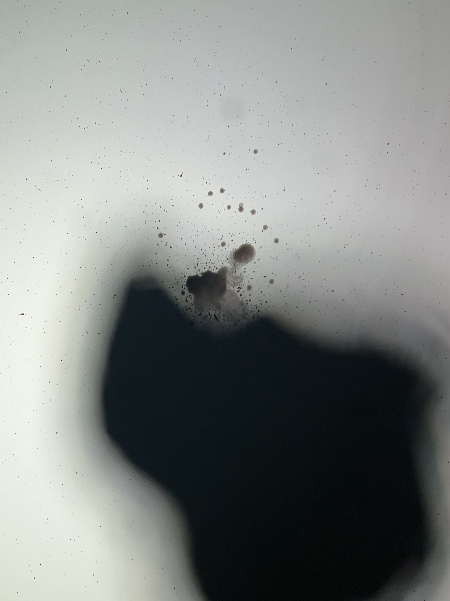 The white board seen from above, with the bag’s dark shadow across it and a few drops of ink