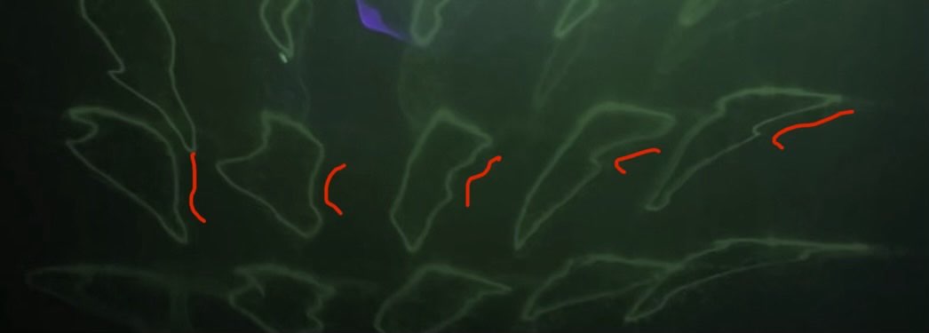 A detail across one row of blobs, with red annotations tracing how a shared dent shifts from blob to blob